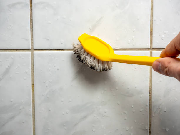 Best Health and Safety Mold Remediation in Chuluota, FL