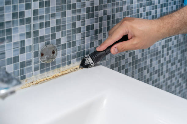 Best Black Mold Remediation in Chuluota, FL